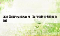 王者荣耀的皮肤怎么用（如何获得王者荣耀皮肤）