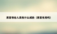 黑客带给人类有什么威胁（黑客有用吗）