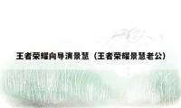 王者荣耀向导演景慧（王者荣耀景慧老公）