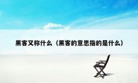 黑客又称什么（黑客的意思指的是什么）