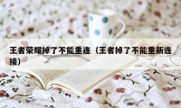 王者荣耀掉了不能重连(王者掉了不能重新连接)