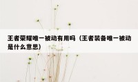 王者荣耀唯一被动有用吗(王者装备唯一被动是什么意思)