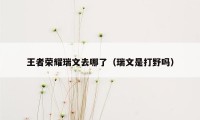 王者荣耀瑞文去哪了（瑞文是打野吗）
