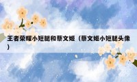 王者荣耀小短腿和蔡文姬(蔡文姬小短腿头像)