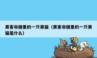 黑客帝国里的一只黑猫（黑客帝国里的一只黑猫是什么）