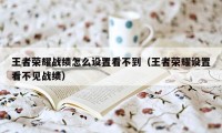 王者荣耀战绩怎么设置看不到（王者荣耀设置看不见战绩）