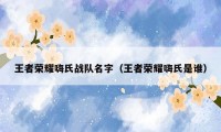 王者荣耀嗨氏战队名字（王者荣耀嗨氏是谁）
