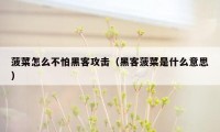 菠菜怎么不怕黑客攻击（黑客菠菜是什么意思）