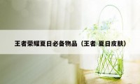 王者荣耀夏日必备物品（王者 夏日皮肤）