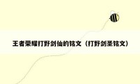 王者荣耀打野剑仙的铭文（打野剑圣铭文）