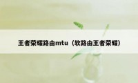 王者荣耀路由mtu（软路由王者荣耀）