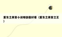 重生之黑客小说哪部最好看(重生之黑客之王)
