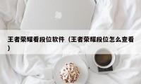 王者荣耀看段位软件（王者荣耀段位怎么查看）