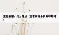 王者荣耀小兵分等级（王者荣耀小兵分等级吗）