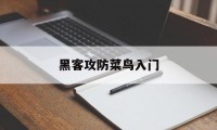 黑客攻防菜鸟入门（黑客攻防技术宝典）