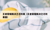 王者荣耀裁决之刃效果（王者荣耀裁决之刃效果图）