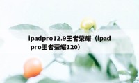 ipadpro12.9王者荣耀（ipad pro王者荣耀120）
