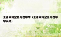 王者荣耀鲨鱼哥在哪学（王者荣耀鲨鱼哥在哪学英雄）