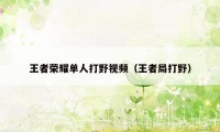 王者荣耀单人打野视频（王者局打野）
