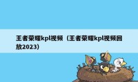 王者荣耀kpl视频（王者荣耀kpl视频回放2023）