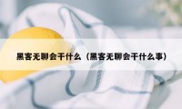 黑客无聊会干什么（黑客无聊会干什么事）