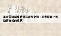 王者荣耀新皮肤蔡文姬多少钱(王者荣耀中英雄蔡文姬的皮肤)