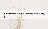 王者荣耀里霸气的名字（王者荣耀 霸气的名字）