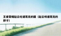 王者荣耀赵云吃诸葛亮的醋(赵云咬诸葛亮的脖子)