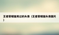 王者荣耀猫用过的头像（王者荣耀猫头像图片）
