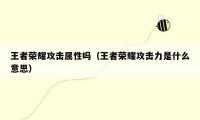 王者荣耀攻击属性吗(王者荣耀攻击力是什么意思)