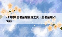 s25赛季王者荣耀视野之灵（王者荣耀s25澜）
