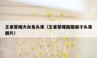 王者荣耀大白兔头像（王者荣耀国服猴子头像图片）