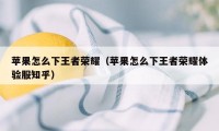 苹果怎么下王者荣耀（苹果怎么下王者荣耀体验服知乎）