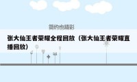 张大仙王者荣耀全程回放（张大仙王者荣耀直播回放）