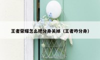 王者荣耀怎么把分身关掉(王者咋分身)