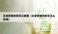 王者荣耀祈愿花位置图（王者荣耀祈愿花怎么获得）