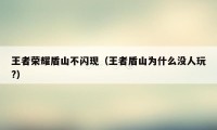 王者荣耀盾山不闪现(王者盾山为什么没人玩?)