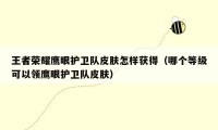 王者荣耀鹰眼护卫队皮肤怎样获得（哪个等级可以领鹰眼护卫队皮肤）