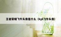 王者荣耀飞牛头像是什么(kpl飞牛头像)