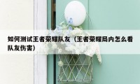 如何测试王者荣耀队友（王者荣耀局内怎么看队友伤害）