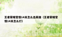 王者荣耀觉悟14关怎么选英雄（王者荣耀觉悟14关怎么打）