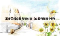 王者荣耀白起和铠对比(白起和铠哪个好)
