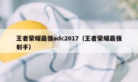 王者荣耀最强adc2017（王者荣耀最强射手）