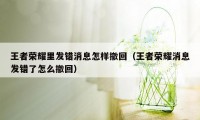 王者荣耀里发错消息怎样撤回（王者荣耀消息发错了怎么撤回）