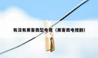有没有黑客类型电视（黑客类电视剧）