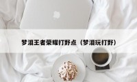 梦泪王者荣耀打野点（梦泪玩打野）
