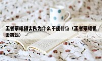 王者荣耀狙击队为什么不能排位(王者荣耀狙击英雄)