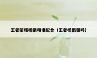 王者荣耀杨戬和谁配合（王者杨戬强吗）