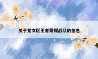 关于龙文区王者荣耀战队的信息