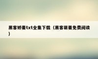 黑客娇妻txt全集下载（黑客萌妻免费阅读）